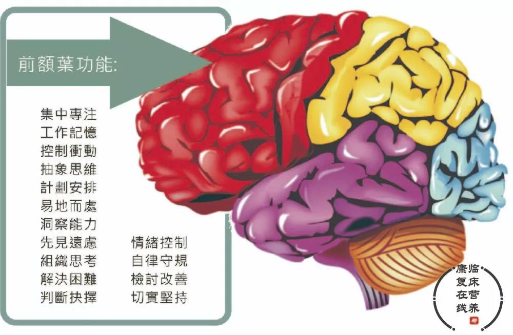 特一,閃瘦,乳鐵蛋白,乳糖酶,DHA,維生素